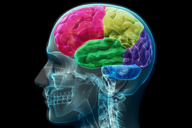 Ressonância magnética pode mostrar áreas cerebrais ligadas à habilidade de perder dinheiro